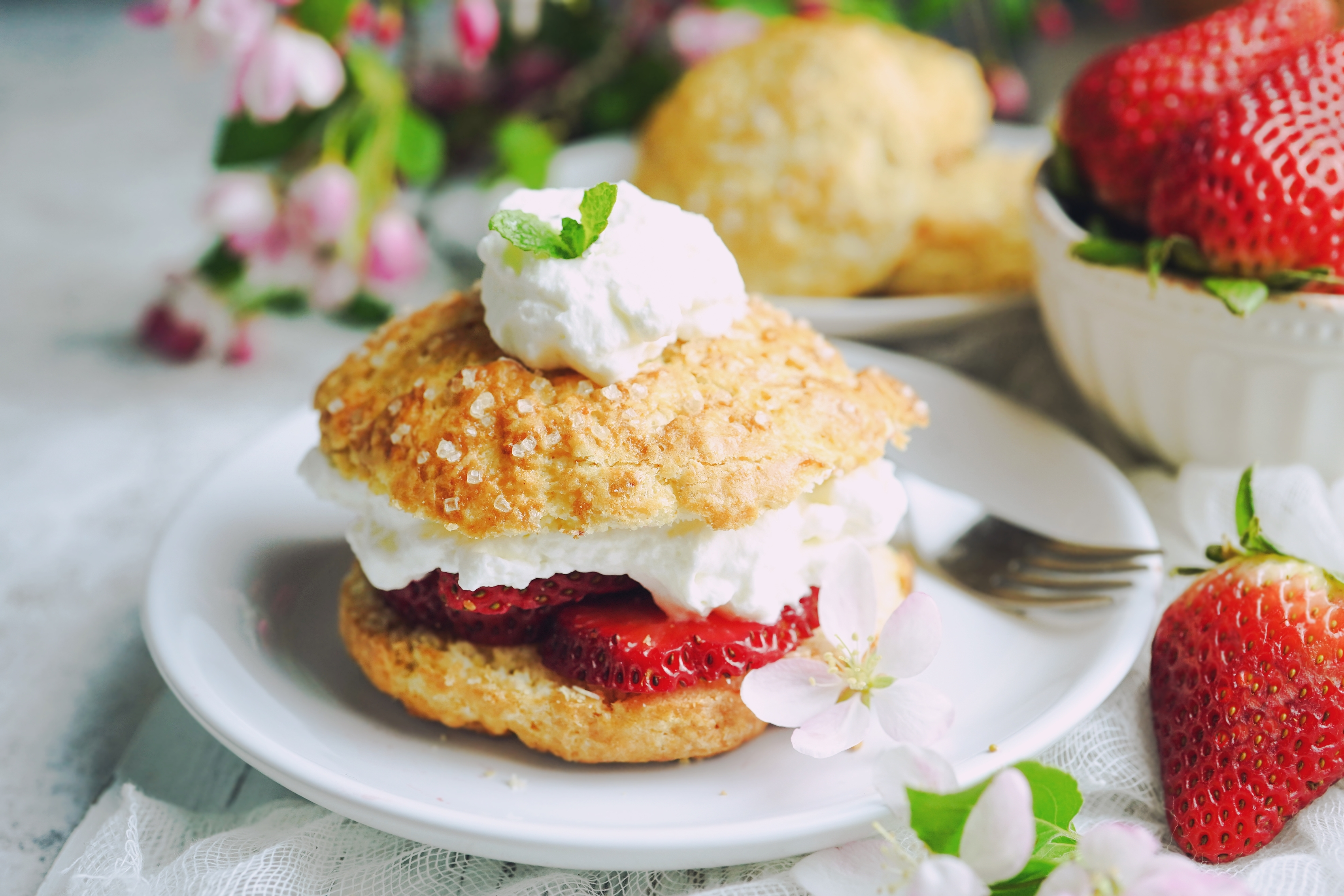 Photo of Strawberry Shortcake